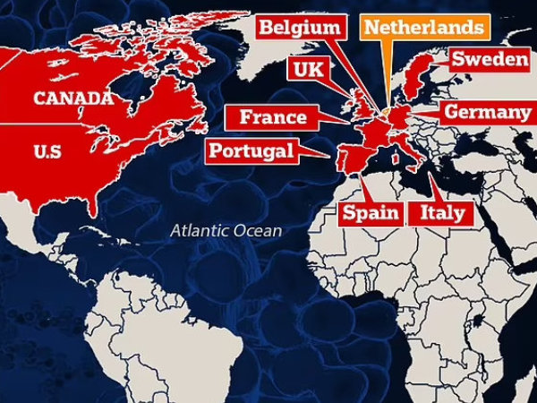 World map of nato nations