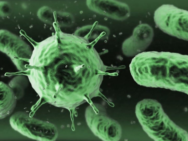 image of virus with bacteria behind
