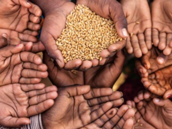 Hand full of grain