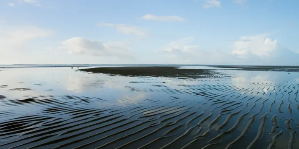 flat sea and beach